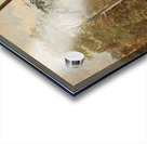 Study of a Woodland Landscape by Carl Spitzweg [1808–1880] Acrylic print