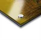 A Moated Yorkshire Home [1879] by John Atkinson Grimshaw [1836–1893] Acrylic print