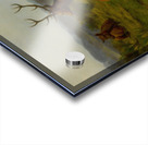 The Monarch of the Herd [1868] by Rosa Bonheur [1822–1899] Acrylic print