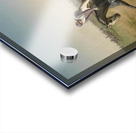 Renntag in der Freudenau by Carl Rudolf Huber [1839–1896] Acrylic print