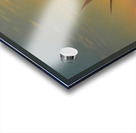 Sunset Over Ischia [1857] by Ivan Konstantinovich Aivazovsky [1817–1900] Acrylic print