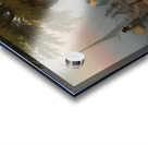 The Fortune Teller [1843] by Christian Grothe [–1849] Acrylic print