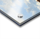 Open Landscape by Remigius Adrianus van Haanen [1812–1894] Acrylic print