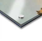 Partie Aus Istanbul [1899] by Karl Kaufmann [1843–1905] Acrylic print