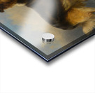 Sammie [1877] by Richard Ansdell [1815–1885] Acrylic print