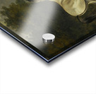 Two Horses By A Fence [1782] by Sawrey Gilpin [1733–1807] Acrylic print