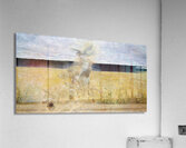 In the Dust Storm [1893–1894] by Jacek Malczewski [1854–1929] Acrylic Print