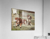 Gestörte Siesta by Carl Reichert [1836–1918] Acrylic Print