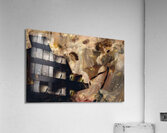 Bal blanc [1903] by Joseph–Marius Jean Avy [1871–1939] Acrylic Print