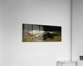 Haddock [1886] by Emil Carlsen [1848–1932] Acrylic Print