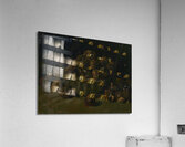 Basket of apples [1885] by Vincent van Gogh [1853–1890] Acrylic Print