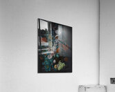 A Vase of Flowers [1716] by Margareta Haverman [1693–1722] Acrylic Print