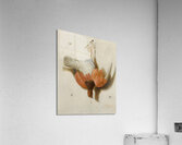 A Trompe L’œil With A Willow Ptarmigan Hanging From A Nail [1665] by Jacobus Biltius [1633–1681] Acrylic Print