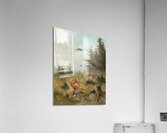 The Hunt [1890] by Moritz Müller [1841–1899] Acrylic Print