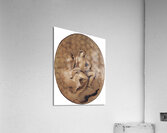 A Female Allegorical Figure [ca. 1740–50] by Giovanni Battista Tiepolo [1696–1770] Acrylic Print