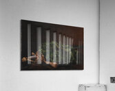 En Kårde Med Laurbærkrans [1848] by Johan Laurentz Jensen [1800–1856] Acrylic Print