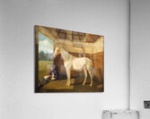 Svanhvide [1839–1849] by Fritz Thomsen [1819–1891] Acrylic Print