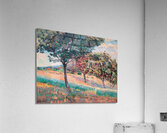 Verger à la lisiere d’un bois à Saint–Cheron [1893] by Armand Guillaumin [1841–1927] Acrylic Print