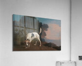 Foxhound on the Scent [ca. 1760] by George Stubbs [1724–1806] Acrylic Print