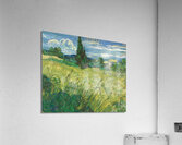 Green Field [1889] by Vincent van Gogh [1853–1890] Acrylic Print