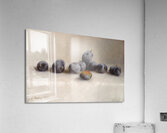 Twelve Plums [1896] by Joseph Decker [1853–1924] Acrylic Print