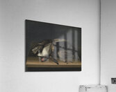 Wildfowl On A Wooden Table [1648–1681] by Jacob Biltius [1633–1681] Acrylic Print