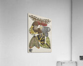 Papillons Pl.14 [1920] by Emile–Allain Séguy [1877–1951] Acrylic Print