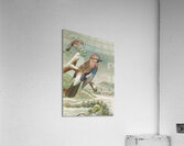 Garrulus glandarius by Johann Friedrich Naumann [1780–1857] Acrylic Print