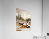 Fuchs mit Hunden [1888] by Moritz Müller II [19th century] Acrylic Print