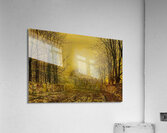 The Queen’s Highway by John Atkinson Grimshaw [1836–1893] Acrylic Print