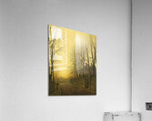 Late Autumn [1886] by John Atkinson Grimshaw [1836–1893] Acrylic Print