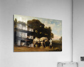 Phaeton with a pair of cream ponies and a stable–lad [between 1780 and 1784] by George Stubbs [1724–1806] Acrylic Print