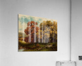 Adirondack Foliage by Robert Melvin Decker [1847–1921] Acrylic Print