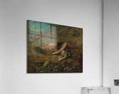 Stillleben mit Fasan und Schnepfe by Carl Spitzweg [1808–1880] Acrylic Print