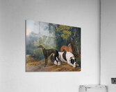 Two Greyhounds And A Mastif Belonging To The Duke Of Hamilton [1780] by Sawrey Gilpin [1733–1807] Acrylic Print