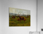 The Monarch of the Herd [1868] by Rosa Bonheur [1822–1899] Acrylic Print