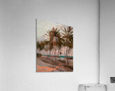 Beach in Fortaleza by Aurélio Figueiredo [1854 — 1916] Acrylic Print