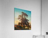 A majestic tree in the evening light by Oswald Achenbach [1827–1905] Acrylic Print