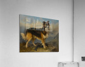 Sammie [1877] by Richard Ansdell [1815–1885] Acrylic Print