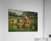 Child Feeding the Sheep by Samuel S. Carr [1837–1908] Acrylic Print