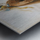 An Elegant Lady by Constantin Guys [1805–1892] Metal print