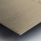 Idleness [Tsurezure] [1909–1910] by Kamisaka Sekka [1866–1942] Metal print