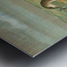 Gavia arctica [L.]. Polar–Seetaucher. By Johann Friedrich Naumann [1780–1857] Metal print