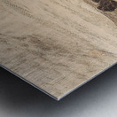 Am Wehr [Ca. 1870–1890] by Hans Thoma [1839–1924] Metal print