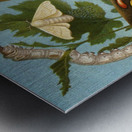 Die Insekten. Tausendfüssler und Spinnen Pl 11 [1877] by Alfred Edmund Brehm [1829–1884] Metal print