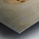 Der Hoffotograf Josef Löwy [1902] by Julius Victor Berger [1850–1902] Metal print