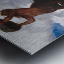 Battle of the Centaur [1872–1873] by Arnold Böcklin [1827–1901] Metal print