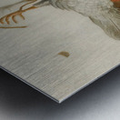 A Trompe L’œil With A Willow Ptarmigan Hanging From A Nail [1665] by Jacobus Biltius [1633–1681] Metal print