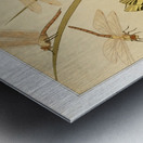 Papillons [1897] by Maurice Pillard Verneuil [1869–1942] Metal print