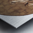 A Female Allegorical Figure [ca. 1740–50] by Giovanni Battista Tiepolo [1696–1770] Metal print